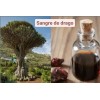 Shampoo Vandé Capilar Sangre De Drago 10 Lts.