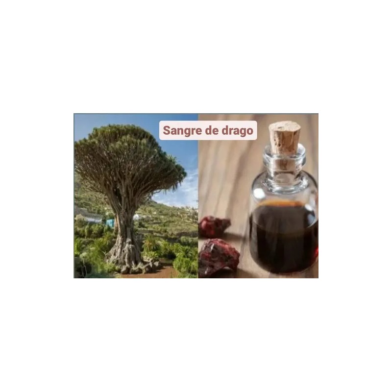 Shampoo Vandé Capilar Sangre De Drago 10 Lts.