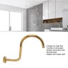 Stainless Steel S Shaped Raised Shower Arm and Flange NPT