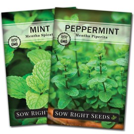 Sow Right Seeds - Mint and Peppermint Seeds Collection for Planting - Non-GMO Heirloom with Instructions to Grow an Herb Garden Indoors or Outdoors - Great Hydroponics Variety - Gardening Gift