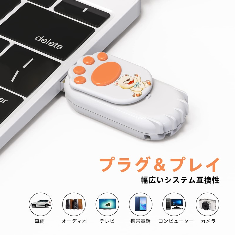 Bilious USB Memory, Cute Animal Claws, Flash Memory, Small, Large