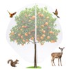 Vincreem 10 x 10 FT Large Fruit Tree Netting Bags
