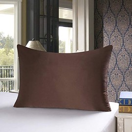 Silky Satin Standard Pillowcases Set of 2, Super Soft and Luxury, Hidden Zipper Design (Coffee, Queen (20" x 30"))