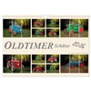 Oldtimer Schätze. Ein Traktoren-Kalender (Wandkalender 2026 DIN A4 quer), CALVENDO