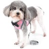 Arnés Ajustable para Gato y Perro, Anti-Escape con Correa (Rosa,M)