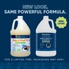 Fruit Fly Drain Treatment | Drain Fly Eliminator | All-Natural,