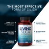 Living Silica ORGONO Mineral-Based Collagen Booster Capsules | Silica-Based |