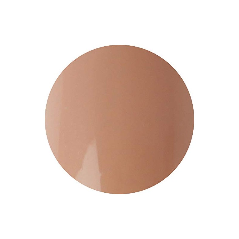 VETRO No.19 Color Gel Matte VL410 Nude 0.1 fl oz