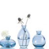 ATDORO 3 Pcs Mini Bud Vases, Clear Bud Vases for