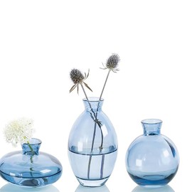ATDORO 3 Pcs Mini Bud Vases, Clear Bud Vases for Flowers, Small Flower Vases Suitable for Birthday Party, Anniversary, Wedding Reception (Blue)