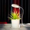 USB Plant Light Angel Ring with Timer Full Spectrum Sunlight