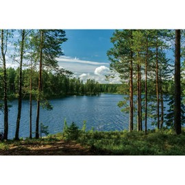 DORCEV 10x8ft Forest Lake Photo Backdrop Park Lakeside Green Trees Natural Scenery Background Banner Spring Summer Countryside Outdoor Picnic Camping Hiking Decor Kids Adults Portrait Studio Props
