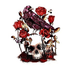 4” Skull Raven Sticker Nevermore Edgar Allen Poe Dark Art Fiction Fantasy Black Decal for Car Bumper Truck Window Laptop