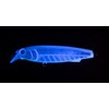 Yamaria VSUZS75004KSG Maria Souther S75 004 Kaymura Slit Glow