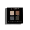 Eyeshadow Quad - Blueberry Parfait by SIGMA for Women -