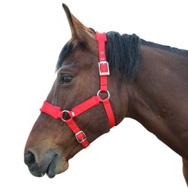 Kabahorze Adjustable Horse Halter with Polar Fleece Lined, Rope Halters, Equestrian Horse Riding Headcollar with Satin Hardware, Prevents Rubs, Adjustable Fit,Great for Trailering & Shows