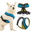 Comfort X Harness Dual Snap Mesh, Ocean, Small