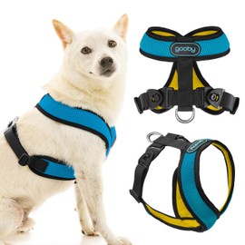 Comfort X Harness Dual Snap Mesh, Ocean, Small