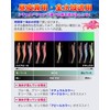 Egi Squid Fishing Lure, Built-in Rattle, Total Body Luminous, Set