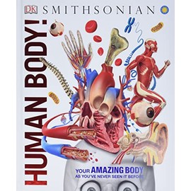 Human Body! (Knowledge Encyclopedias)