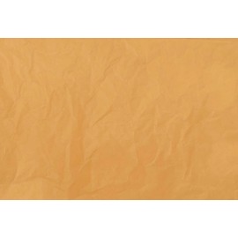 InsideMyNest Muted Neutral Tissue Paper Sheets Shred Packaging Box Filler Premium Quality Eco Friendly (10 Sheets, Harvest Gold)