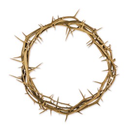 Cottage Garden Crown of Thorns Real Wood in Gift Box with Scripture Tag 6 Inch Round