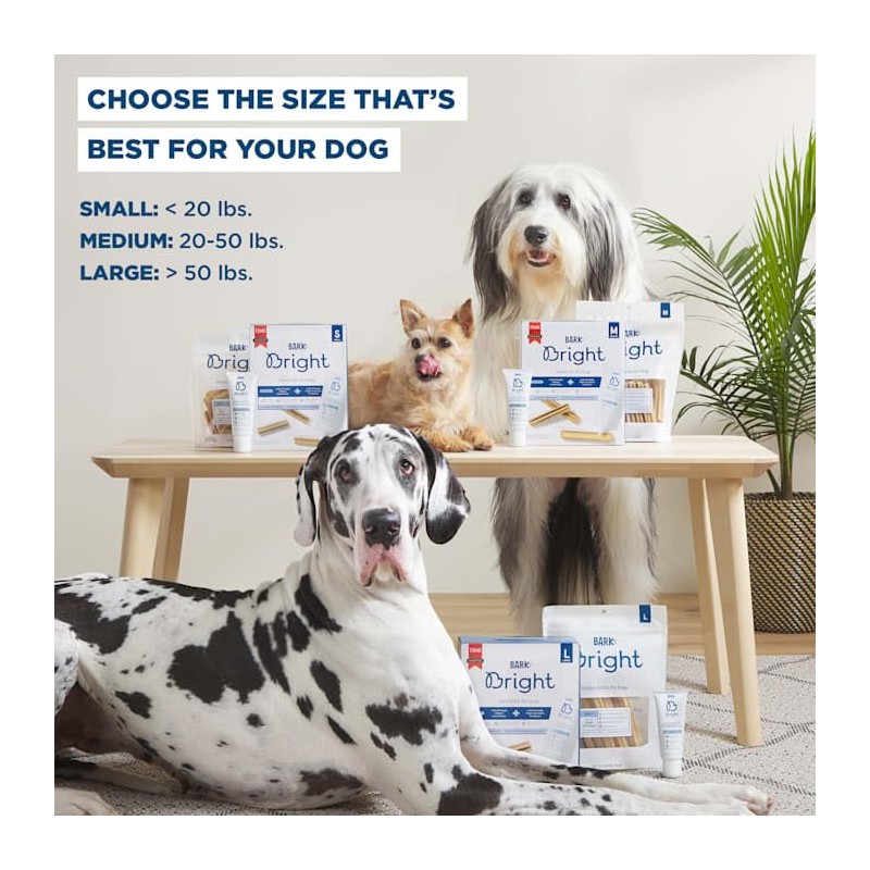 Bark BARK Bright Large Dental Kit for Dogs, 26.29 oz,31