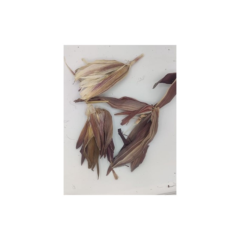 Real Natural Dried Mini Indian Corn Husk, 24 husks, 5-8