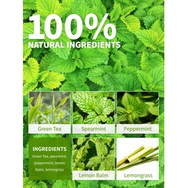 TeeLux Green Tea with Mint, 100 Tea Bags, Vegan, Spearmint + Peppermint + Lemongrass + Lemon Balm + Green Tea, Refreshing and Lively, Spearmint Peppermint Lemongrass Lemon Balm