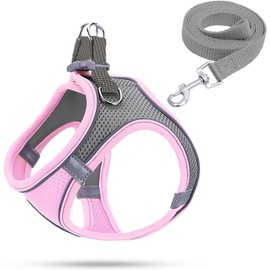 Dog Harness for Small Dogs, Puppy Harness, Cat Harness, Luminous with Lead, Curli Dog Harness, Puppy Accessories (Pink, M)