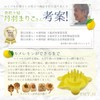 RMY.H (Invented Housewives Invent) Lemon Squeezer, Leading Edge in the