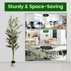 6FT Tall Faux Olive Tree with Dew-Like Leaves – Indoor