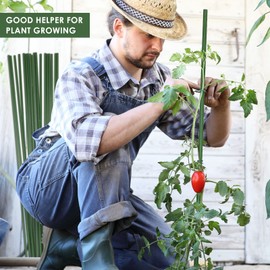 Tanlade 100 Pcs 5 Ft/60 Inches Garden Stakes Plants Tomato Stakes Metal Plant Sticks Support Plastic Coated Sturdy for Potted Plant Stakes, Tomato Stakes, Beans, Trees, Outdoor Indoor