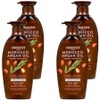 Organist Moroccan Argan Oil Glowing Nourishing Conditioner, 500ml, 4 pieces / 오가니스트 모로코 아르간오일 윤기영양 컨디셔너, 500ml, 4개