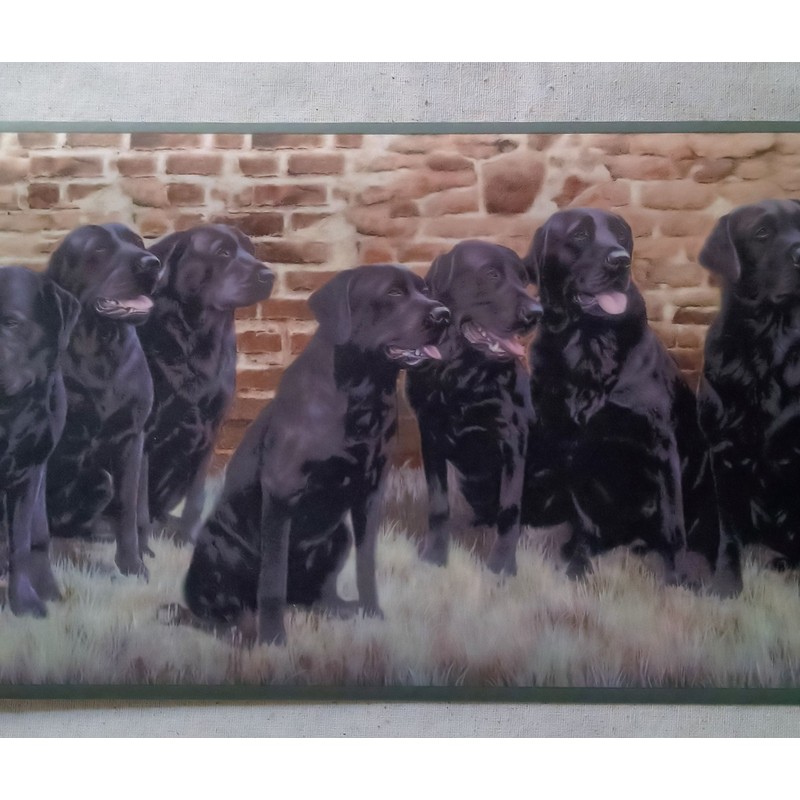 Labrador Retriever Dogs Wallpaper Border
