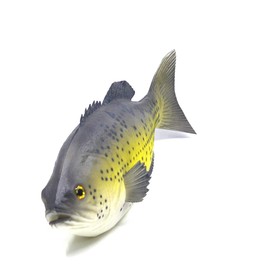 Ailejia 3pcs Simulated Animal Fake Fish Model for Home Decor, Market Display, Photography Prop Kids Toy Kitchen