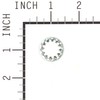 Briggs and Stratton 7090509YP Lockwasher, 1/2"