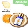 Sage Apothecary Natural Orange Essential Oil - 10 ML