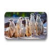 Merchandise for Fans Meerkat Fridge Magnets Rectangular 7 x 4.5