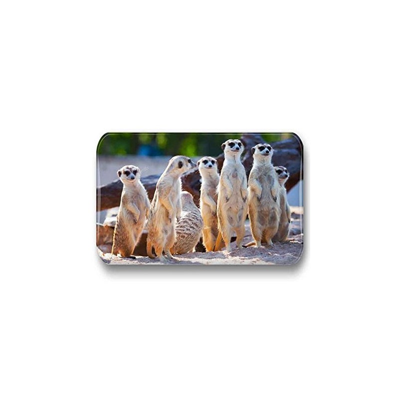 Merchandise for Fans Meerkat Fridge Magnets Rectangular 7 x 4.5