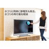 Yamazaki Sangyo 189397 Dust, Anti-Static Electricity, Mini, Total Length 10.6