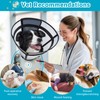 Didopet Dog Cone, Transparent Recovery Collar for Large Medium Small