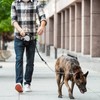PUPTECK Retractable Dog Leash with Chew Proof Chain, 360°Tangle-Free Pet