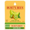 Burt's Bees 100% Natural Origin Moisturising Lip Balm, Kiwi Melon