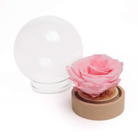 ROSEMARIE SCHULZ Heidelberg Rose in Glass Round Beauty and the Beast Real Durable Infinity Rose in Glass Ball (Large, Pink)