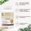 Kudzu Capsules 1400mg (Pueraria Lobata Root) | 40% Isoflavones Content