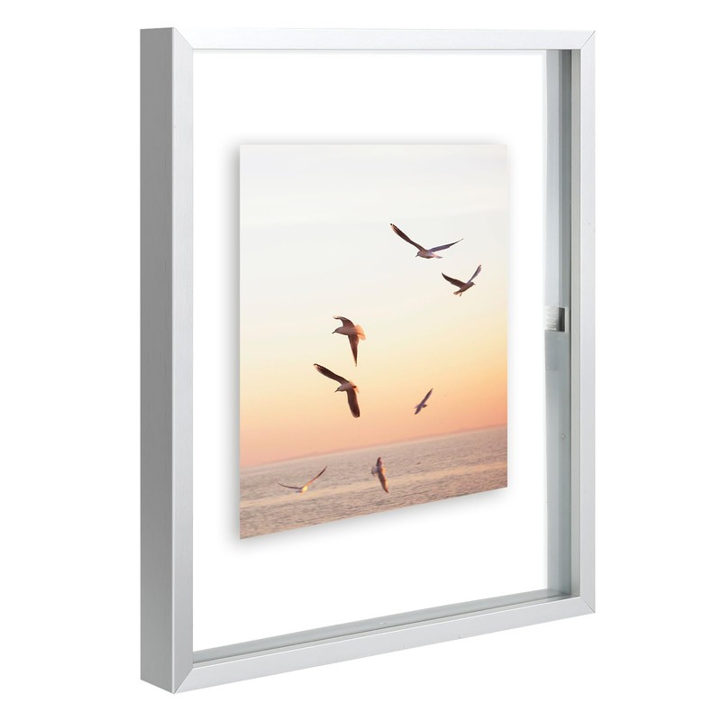 Frametory, 8x10 Floating Picture Frame - Metal Photo Frame -