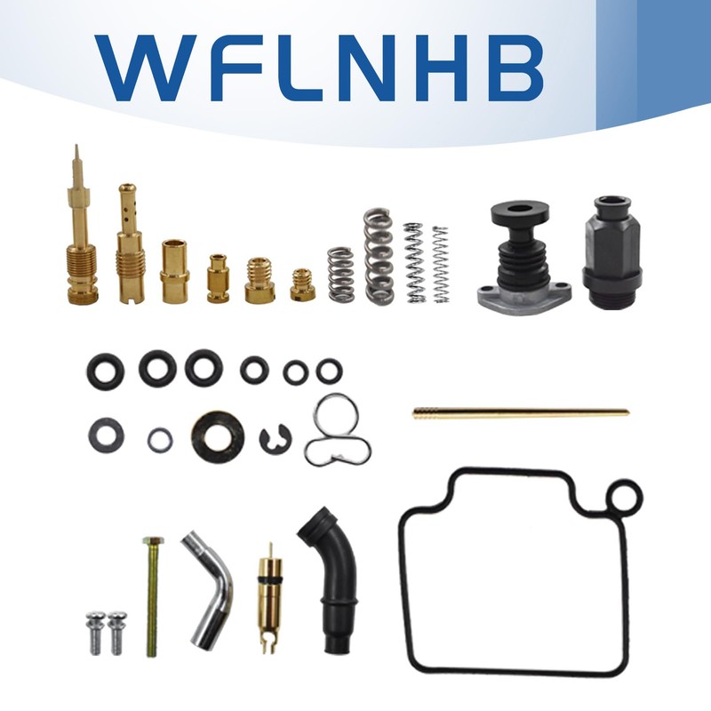 Carb Carburetor Repair Kit with Choke Plunger Starter Valve and