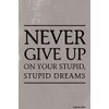 Pointless Posters Never Give Up On Your Stupid, Stupid Dreams Demotivational Poster Print
