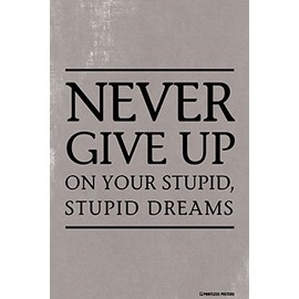 Pointless Posters Never Give Up On Your Stupid, Stupid Dreams Demotivational Poster Print